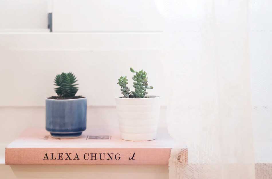 ¿Qué es el slow deco?